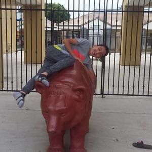 Meet your Posher, Alma